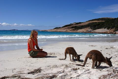 Nullarbor Traveller: 9 Day - Perth to Adelaide Wildlife Adventure