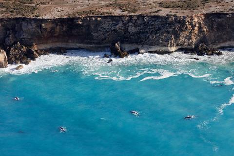 Xplore Eyre: Head of Bight Ocean & Outback - 3 Day Tour