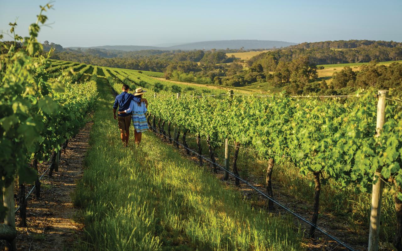 Xplore Eyre – 4-Day Margaret River & Great Southern Private Luxury Tour