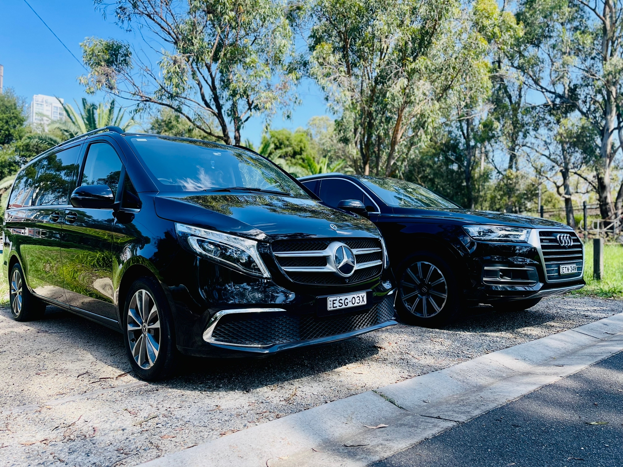 Executive Arrival Transfer: Sydney Airport to Hotel or Cruise Port