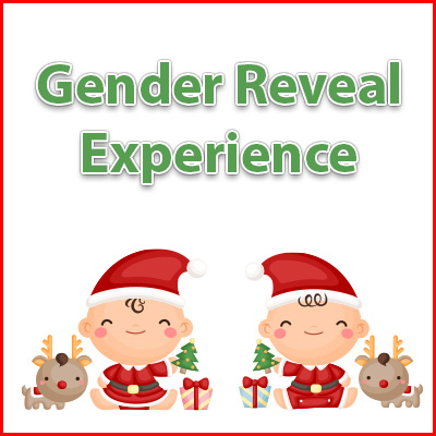 Glittering Lights Gender Reveal Experience