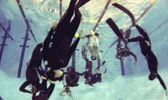 Your Inner Dolphin - Learn to Hold Your Breath Freediving Masterclass | Marlon Quinn