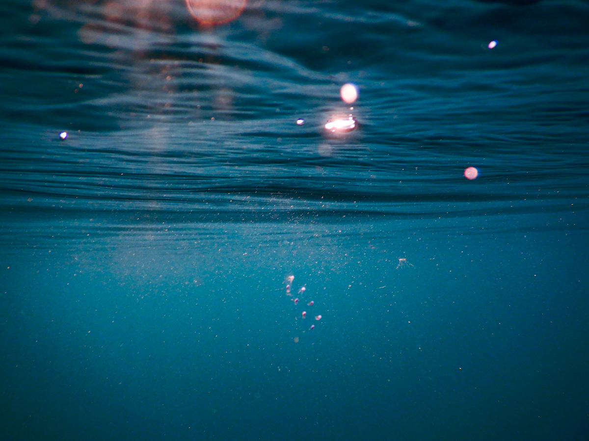 Boundless Blue - Aquatic Resilience & Calm Presence (Gippsland VIC)