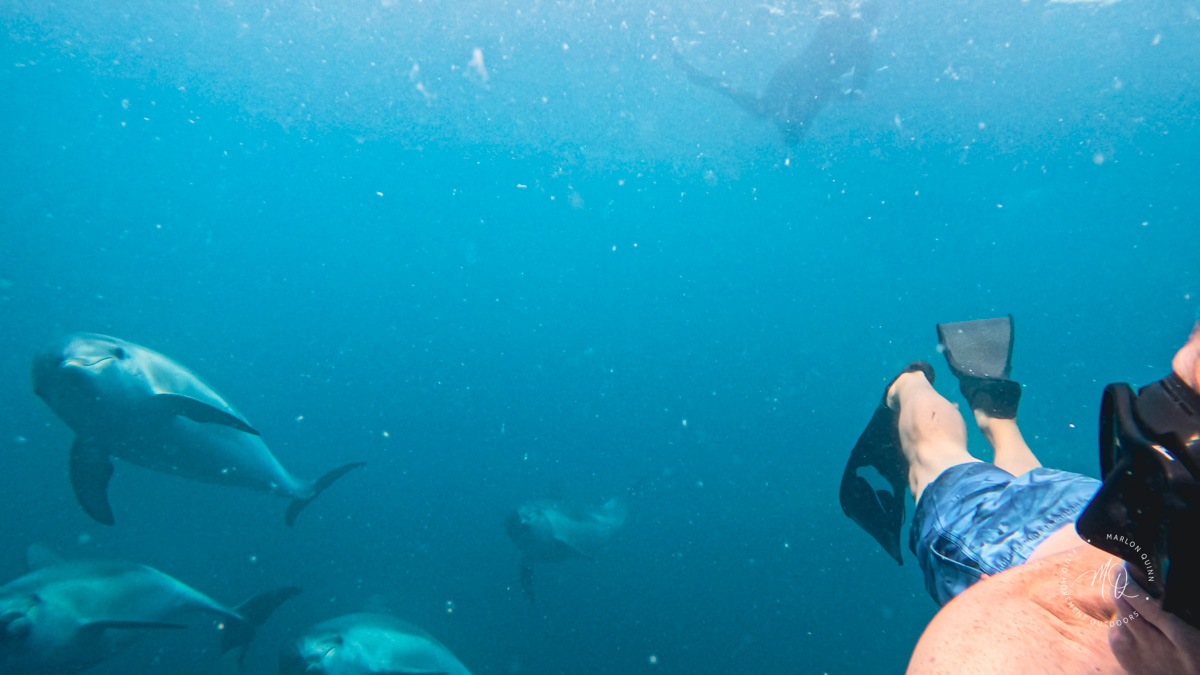 1-Day PADI Basic Freediver Course - Private Group (Mornington Peninsula VIC)