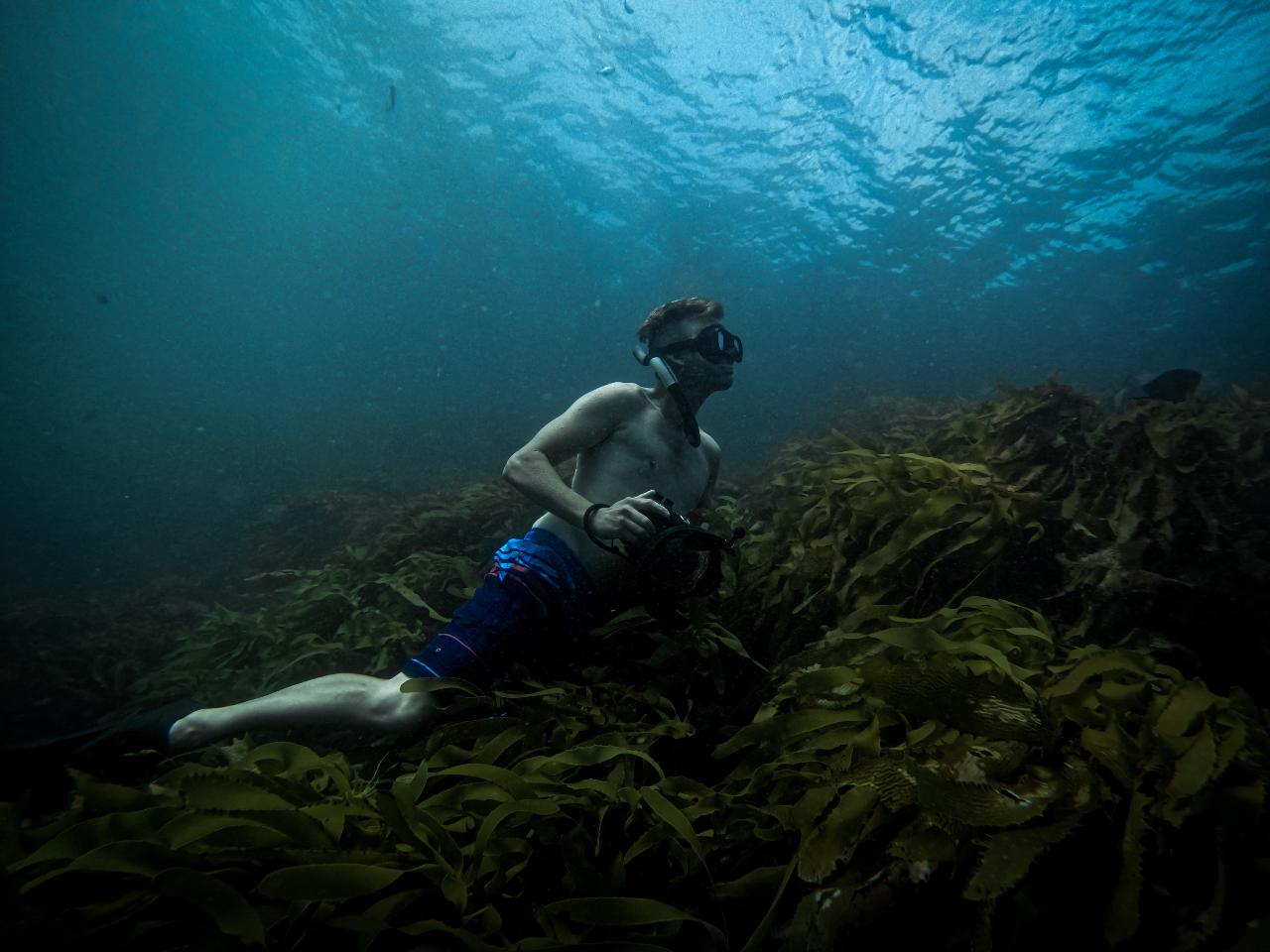 4-Day Freediving Master Retreat Level Three Mornington Peninsula