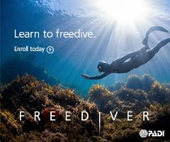 Freediving Training Boat Dive - Level 1+ (Sorrento)