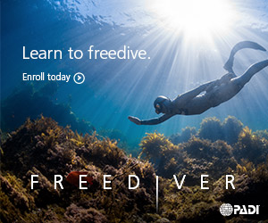 1-Day PADI Basic Freediver Course - General Admission (Mornington Peninsula VIC)