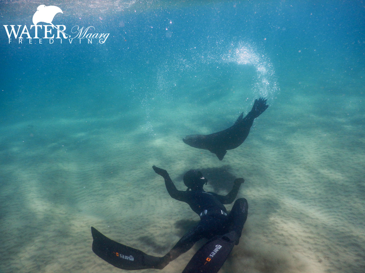 3-Day Freediving Advanced Retreat Level Two Mornington Peninsula