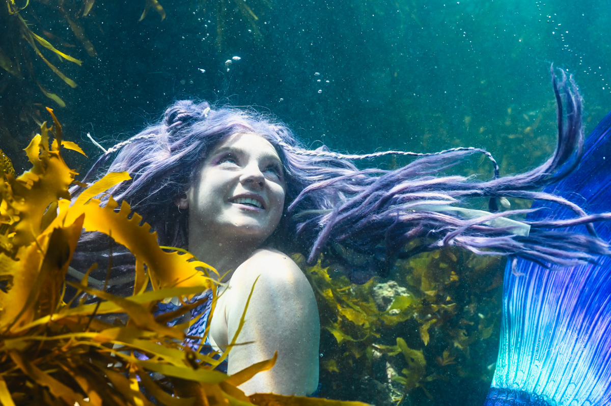 Private PADI Mermaid Instructor Course (Gippsland)