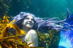 Private PADI Mermaid Instructor Course (Gippsland)