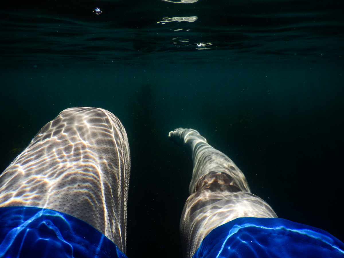 Cold Water and Breathwork Wellness Immersion (Gippsland)