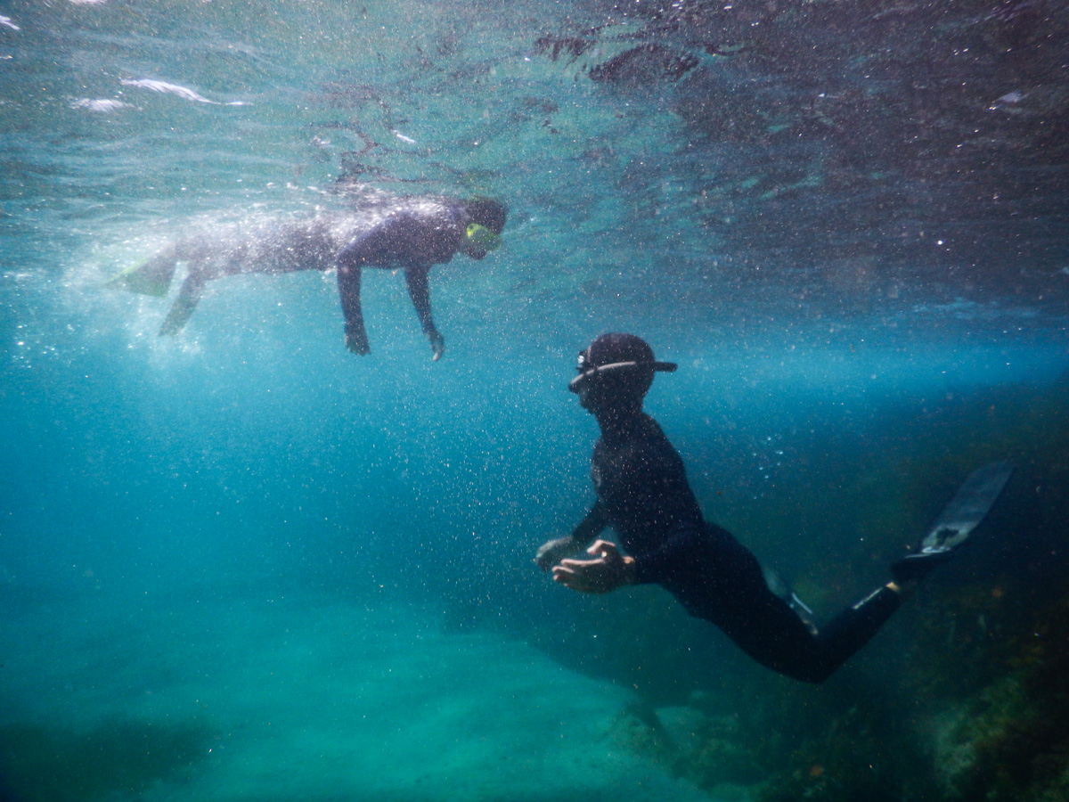 Half-Day PADI Skin Diver Course (East Gippsland)