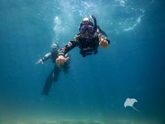 Half-Day PADI Skin Diver Course (Peninsula)