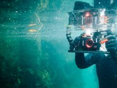 PADI eLearning: Digital Underwater Photographer