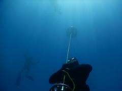 Freediving Coaching and Training Shore Dive