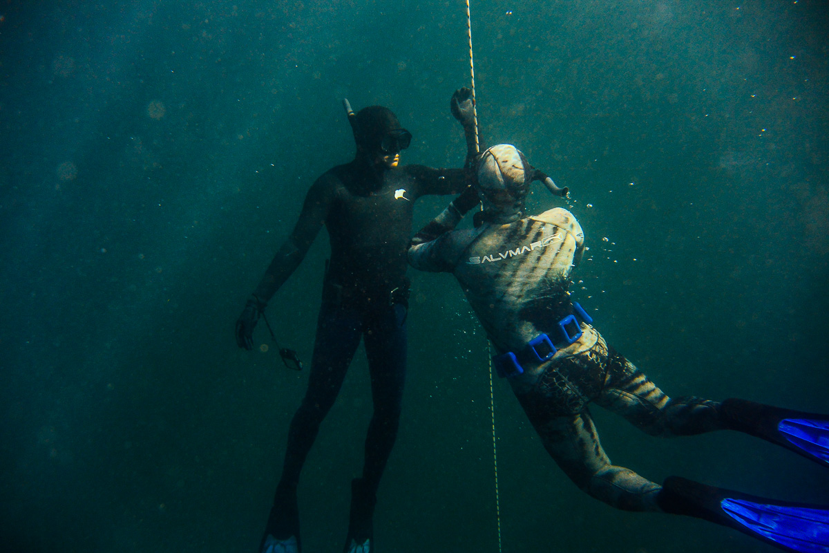 Half Day Freediving Training and Fun Boat Dive from Sorrento