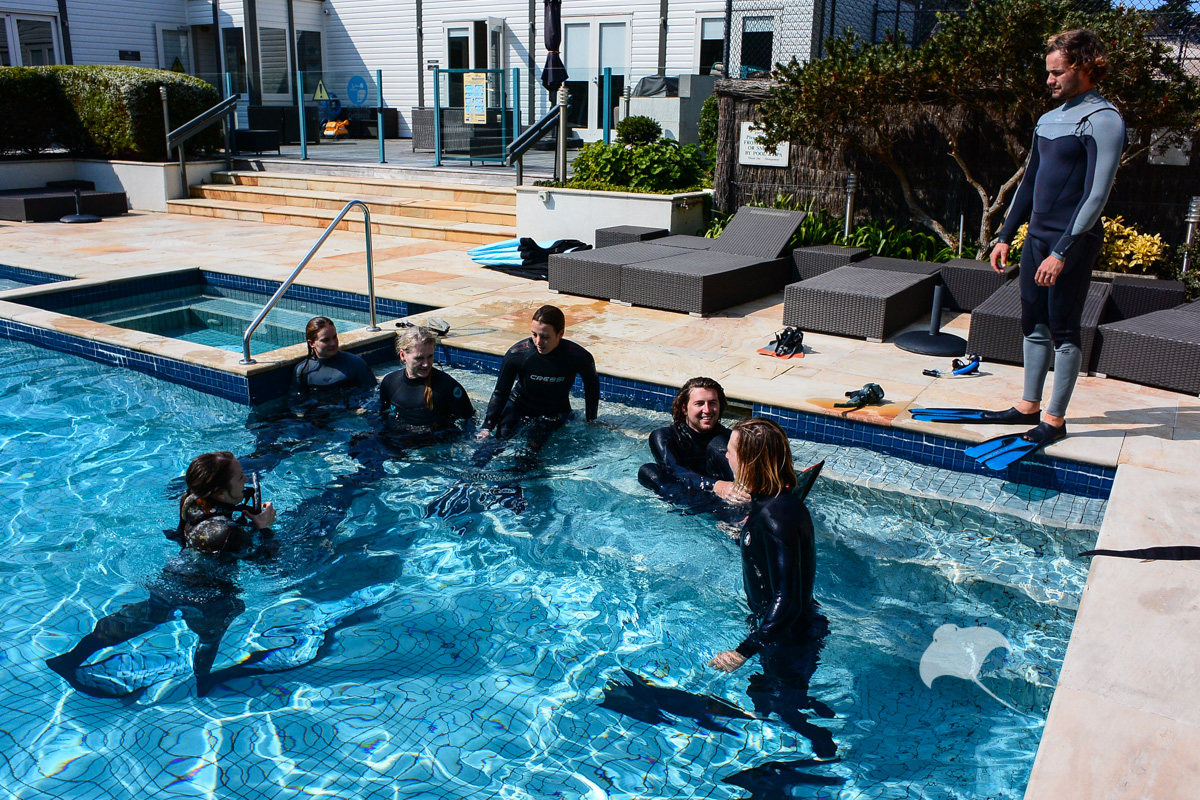 Small Group 1-Day Snorkel Guide Course