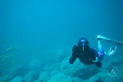 Intro to Underwater Photography for Snorkellers and Freedivers | Marlon Quinn