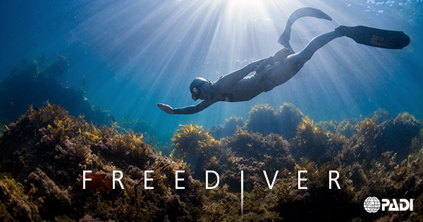 1-Day PADI Basic Freediver Course (Cheltenham)