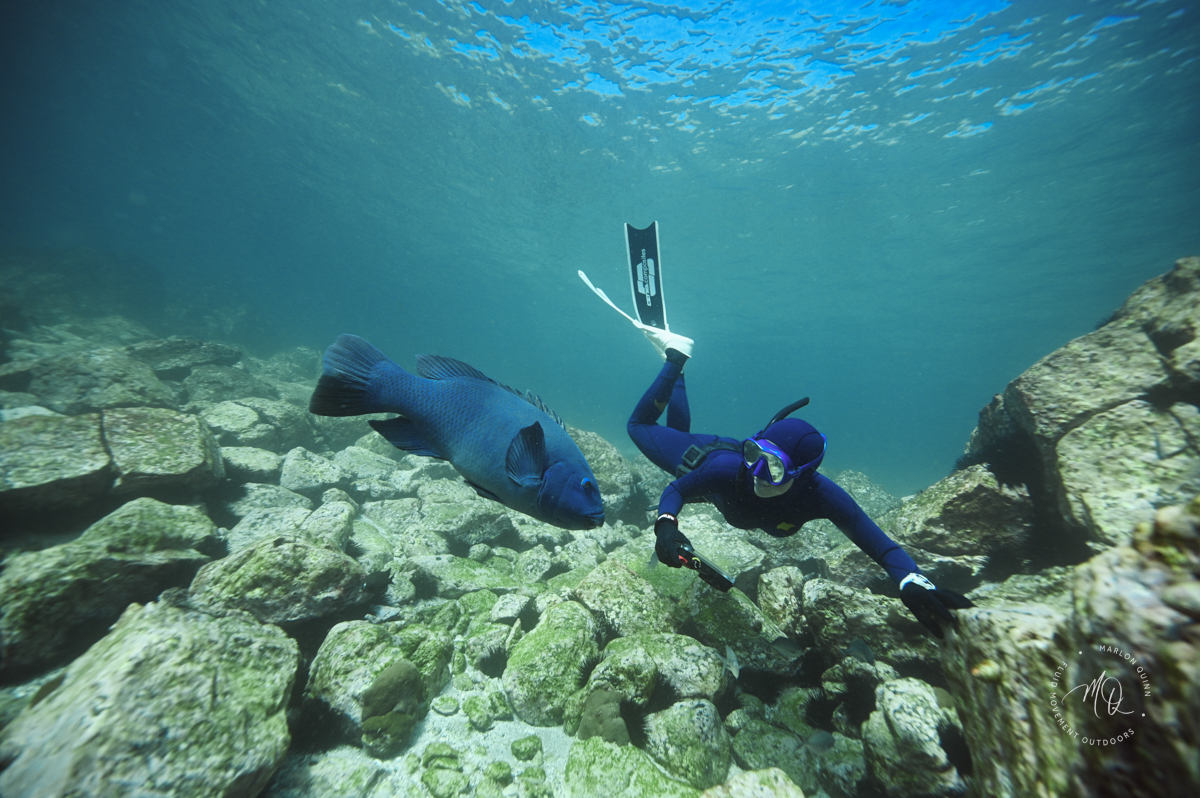 1-Day PADI Basic Freediver Course (Sapphire Coast NSW)