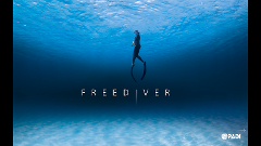 PADI eLearning: Freediver