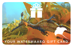 WaterMaarq Gift Card $20