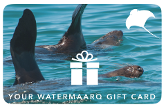 WaterMaarq Gift Card $200