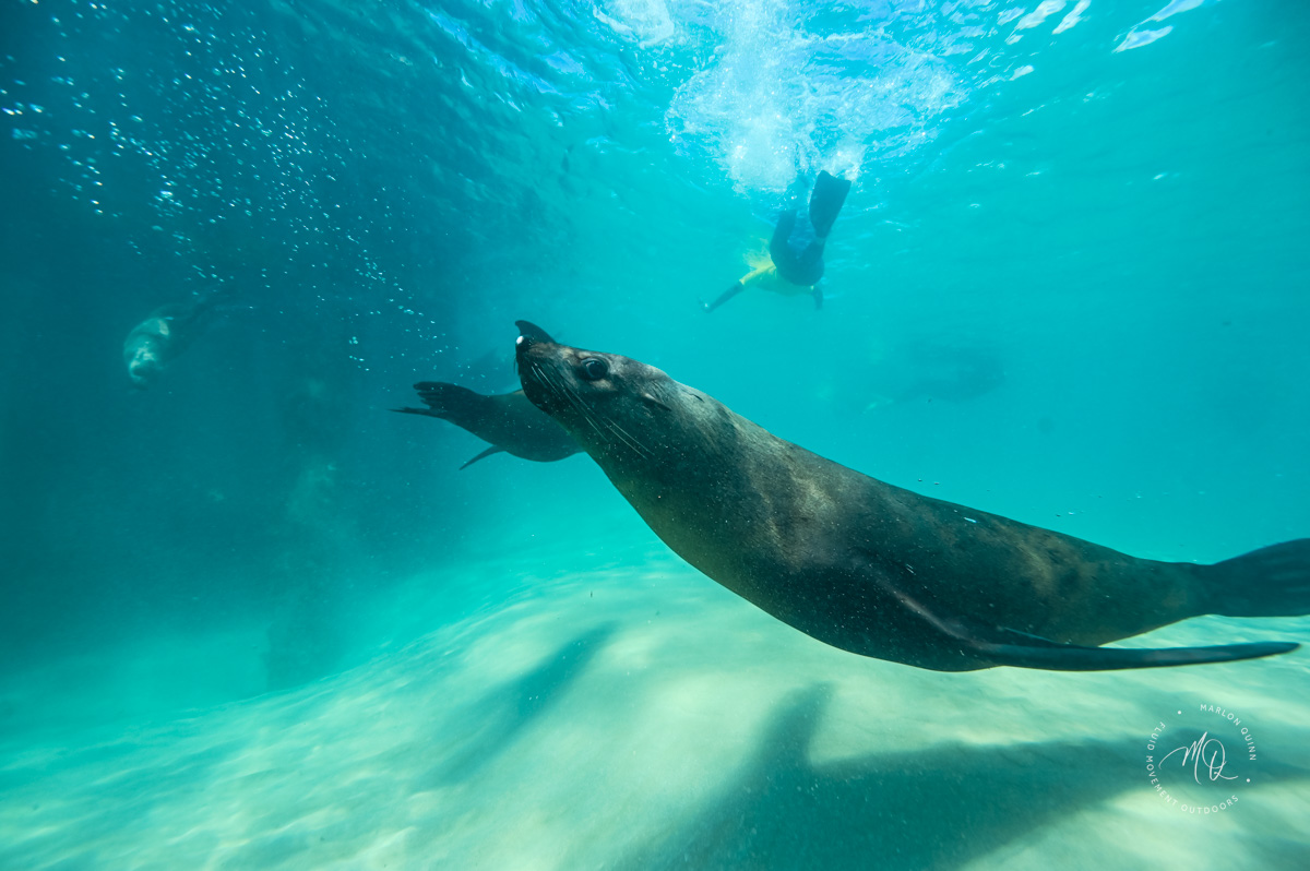 Freediving Bay Boat Adventure