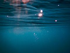 Boundless Blue - Aquatic Resilience & Calm Presence (Mornington Peninsula VIC)