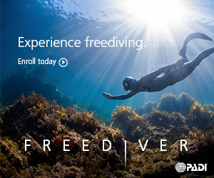 2-Day PADI Advanced Freediver Course (Mornington Peninsula)