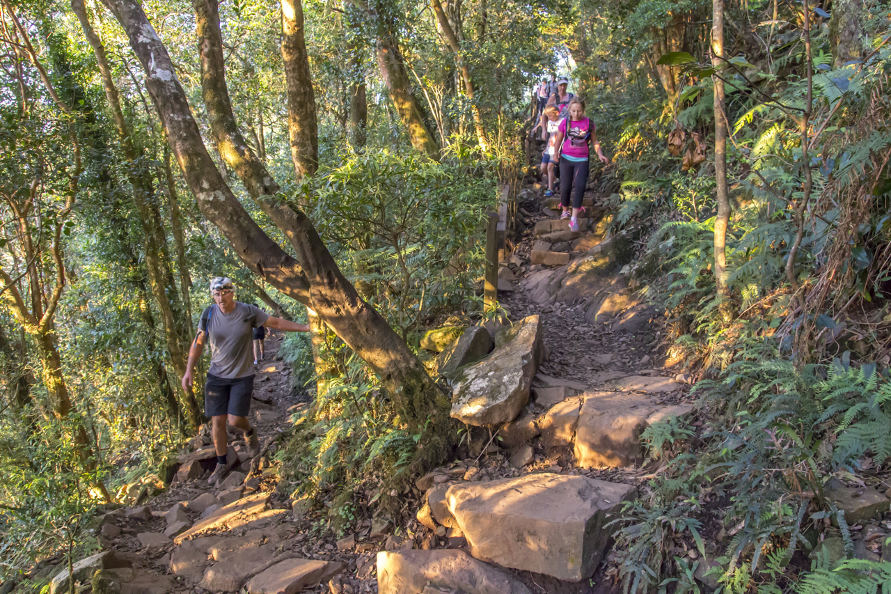 Waves To Waterfalls Adventure