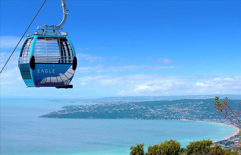 Arthurs Seat Eagle & Wine Tour