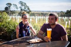 Create Your Own Brewery/Winery Tour