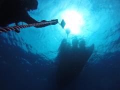 Mergulhos Guiados na região da Arrábida