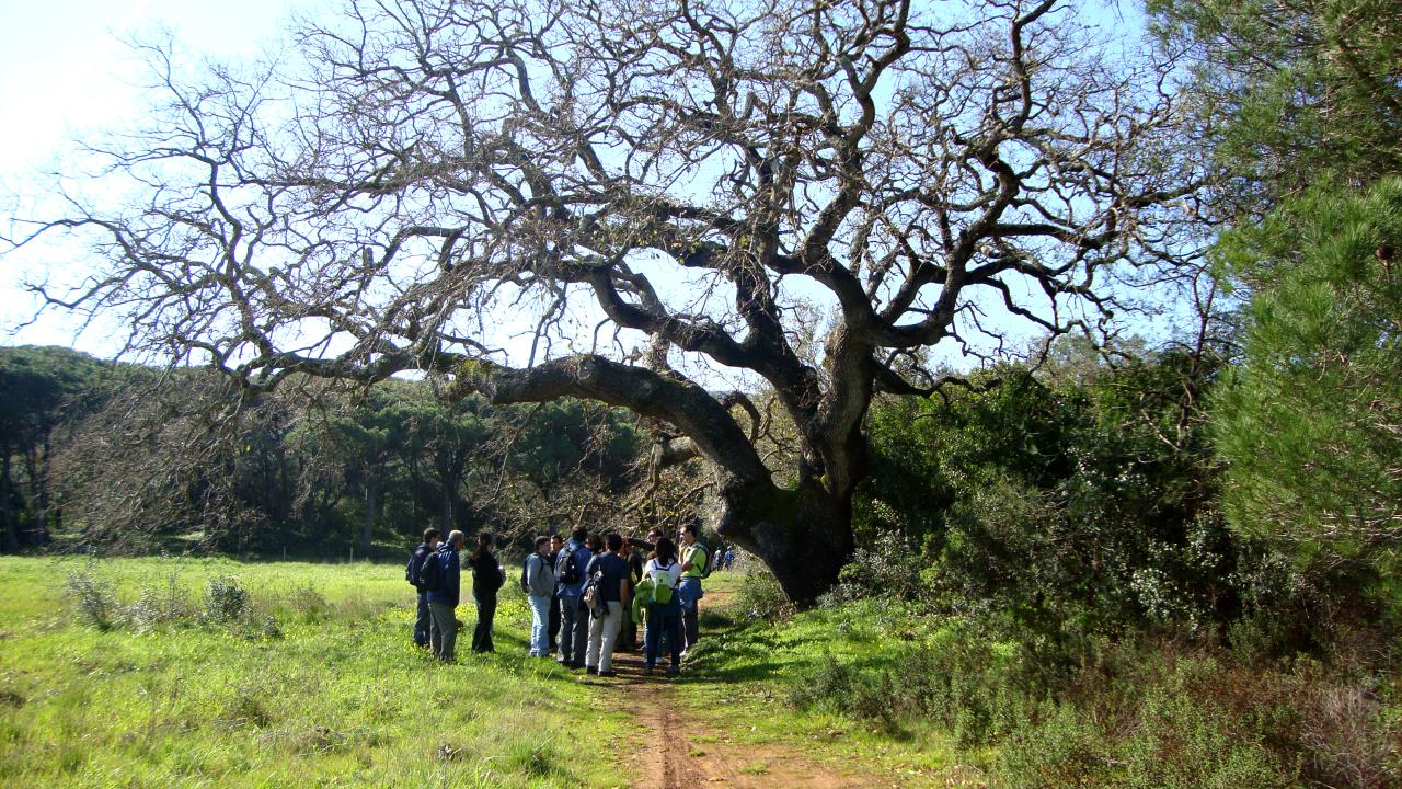 Passeio Pedestre na região da Arrábida