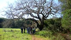 Passeio Pedestre na região da Arrábida com transfer