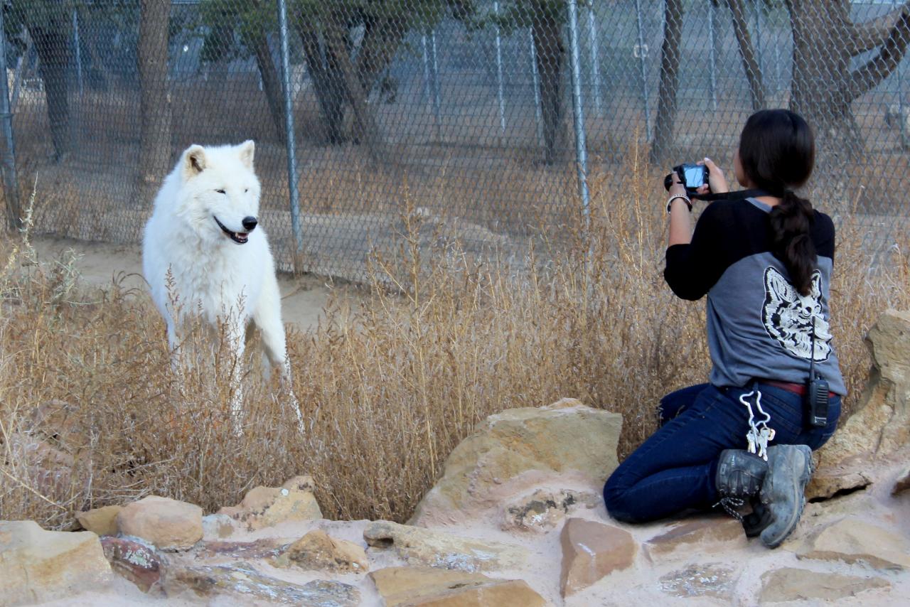 Photography Tour