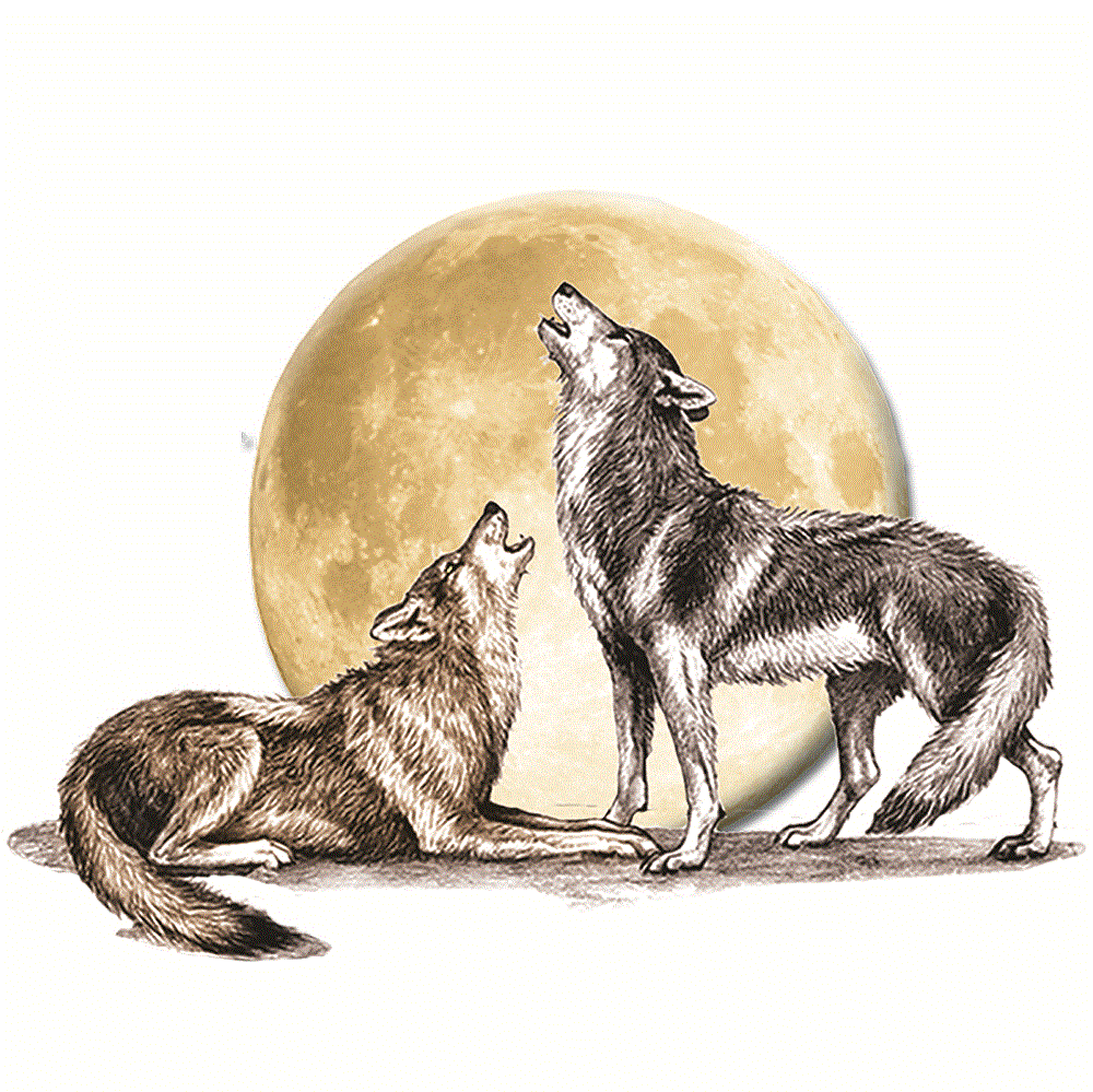 Howl-o-Ween Dinner: Vegetarian Option