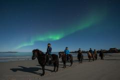 Northern Lights Horseback Riding Tour