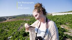 For Photography and Wine lovers