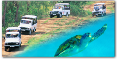 Land & Sea Safari