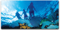 Snorkel & Adventure Tour