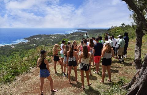 Discovery Safari Tour - Half Day