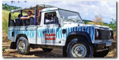 Tailor-Made Safari