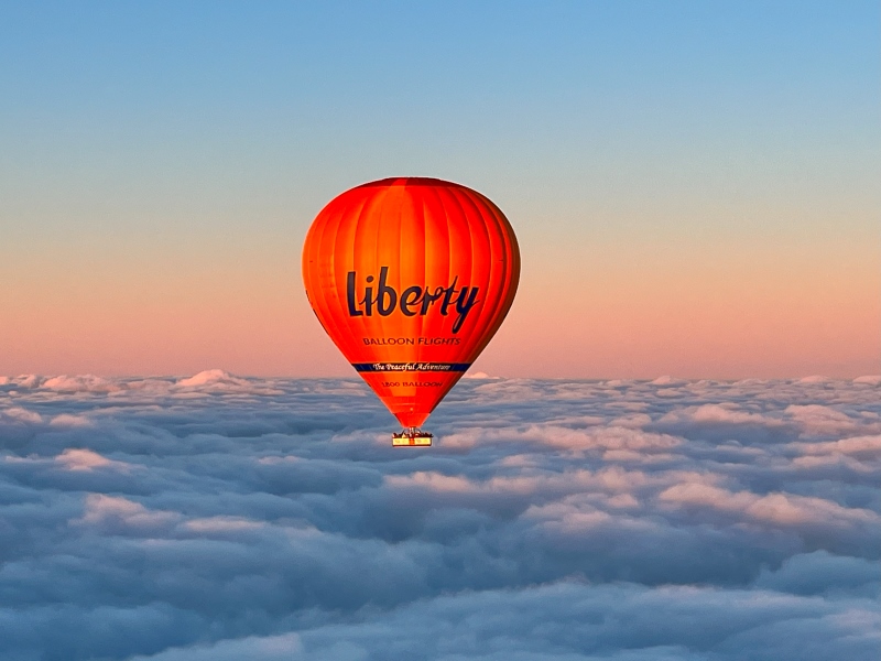 The Great Ocean Flight - Geelong and Bellarine - Includes Breakfast