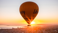 The Great Ocean Flight - Geelong and Bellarine - Includes Breakfast
