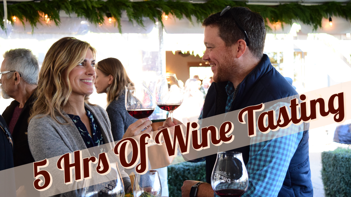 PRIVATE WILLAMETTE VALLEY WINE TOUR | 5hrs | Visit 3 Wineries | 1-6 People