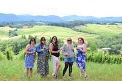 GIFT WILLAMETTE VALLEY WINE TOUR | 5hrs | Visit 3 Wineries | 1-8 People