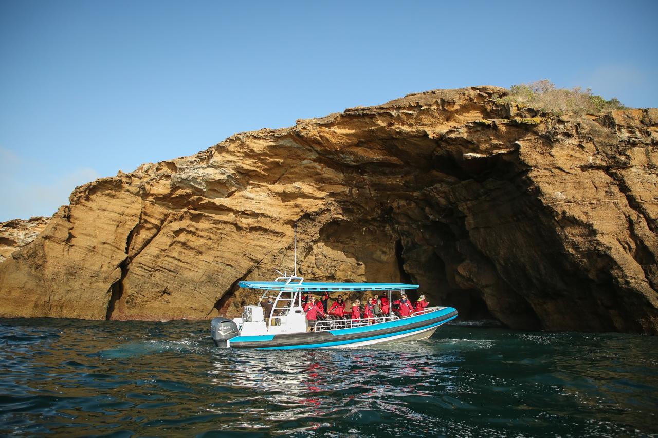 Adventure Tour