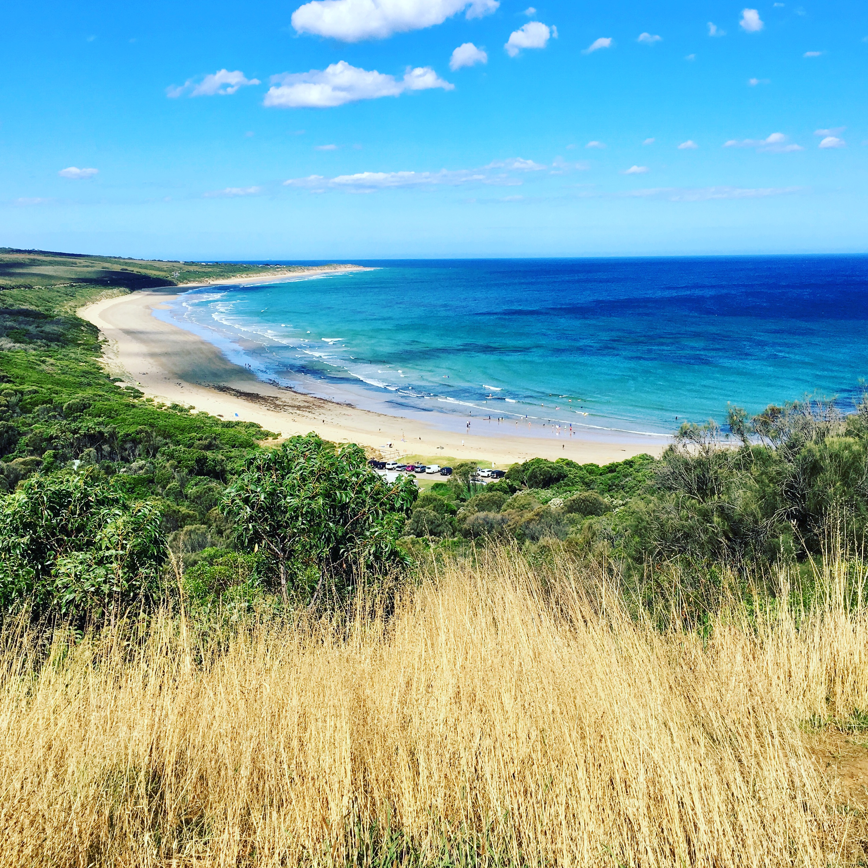 The Great Ocean Road and 12 Apostles Private Tour